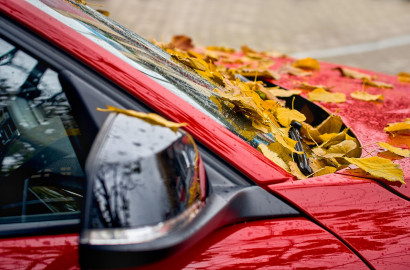 red car with leaves on hood in fall
